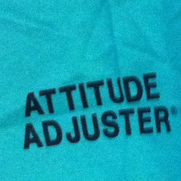 Attitude Adjuster – Parole Board - Picture 10 of 12